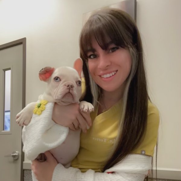 Dr. Maria Torres-Rivera holding a small white French bulldog.