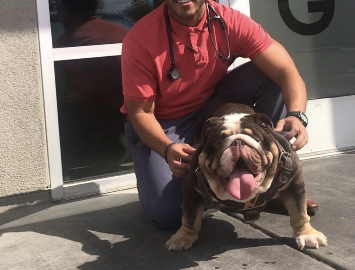 A veterinarian kneeling outside the hospital entrance beside an English bulldog.